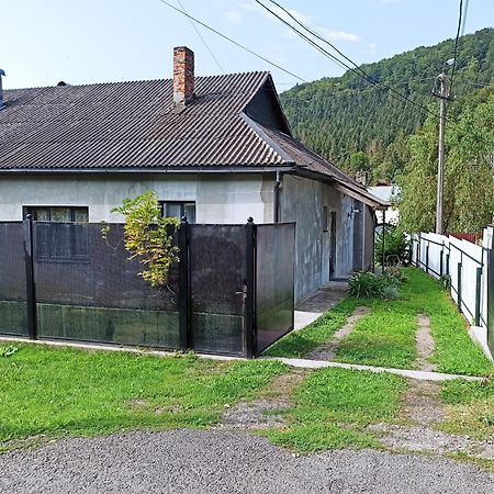 Chotiri Stihii Villa Mizhhirya  Exterior foto