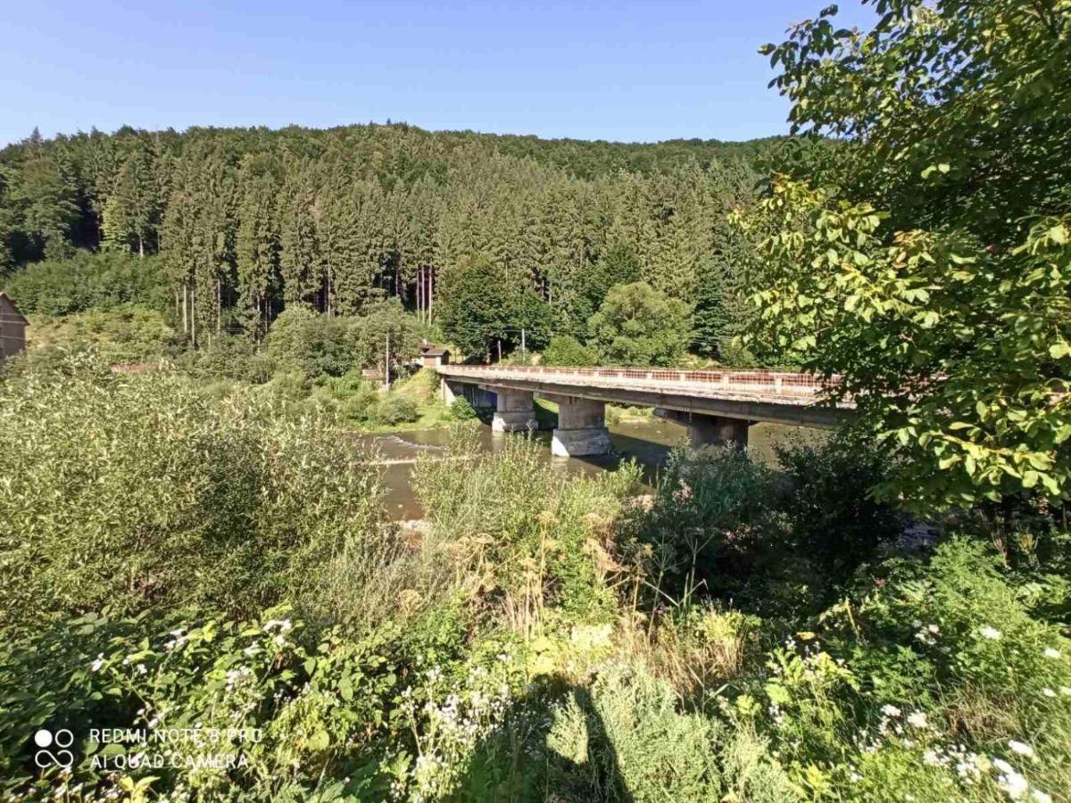 Chotiri Stihii Villa Mizhhirya  Exterior foto